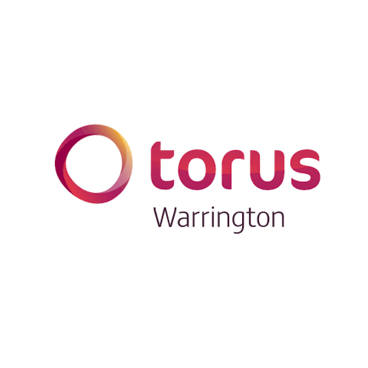Torus Developments Framework